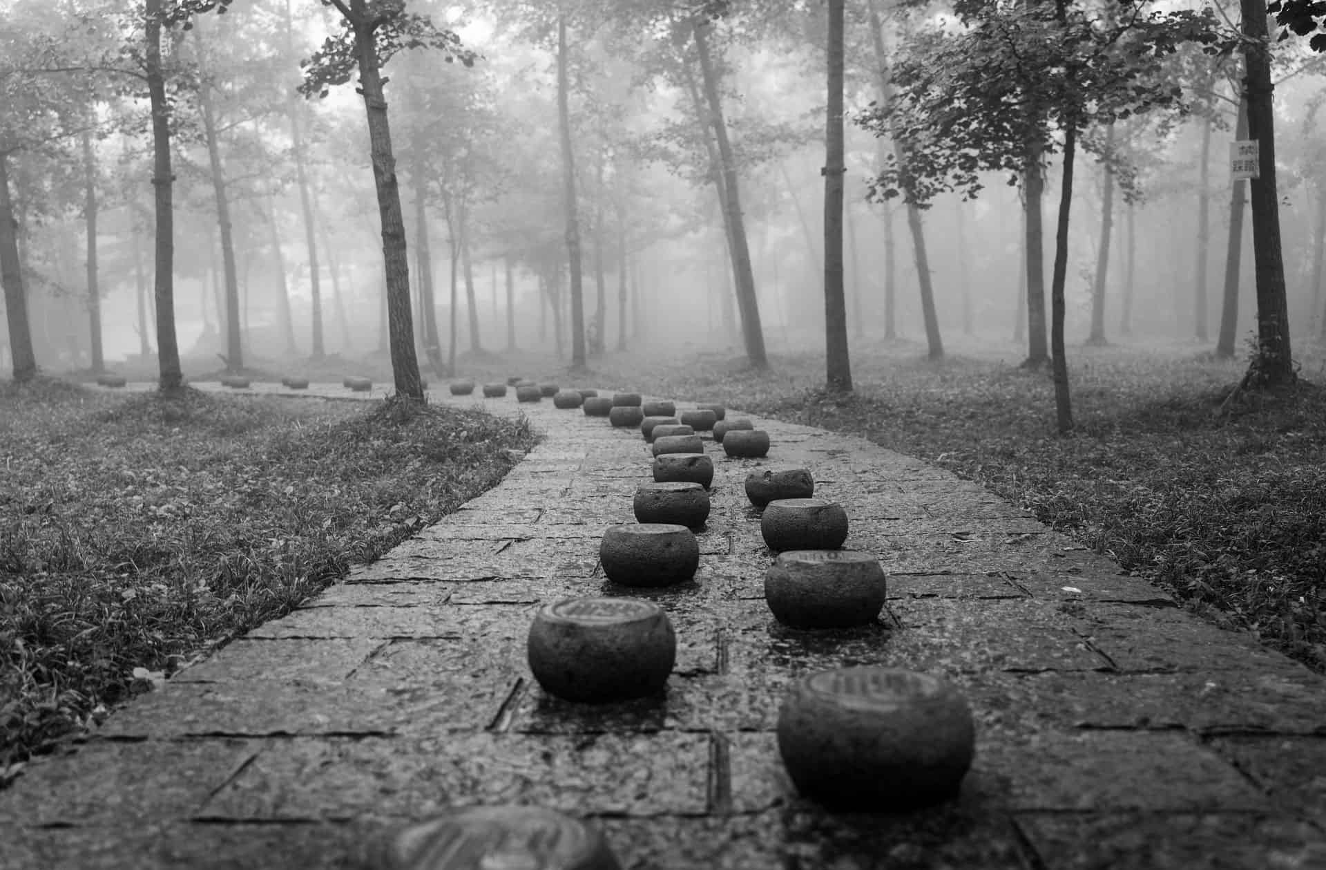 stone path step nine of the twelve step programme