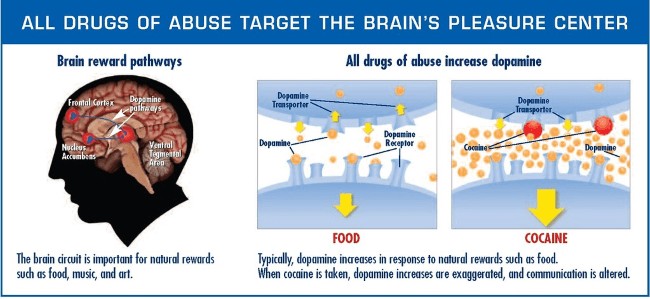 dopamine